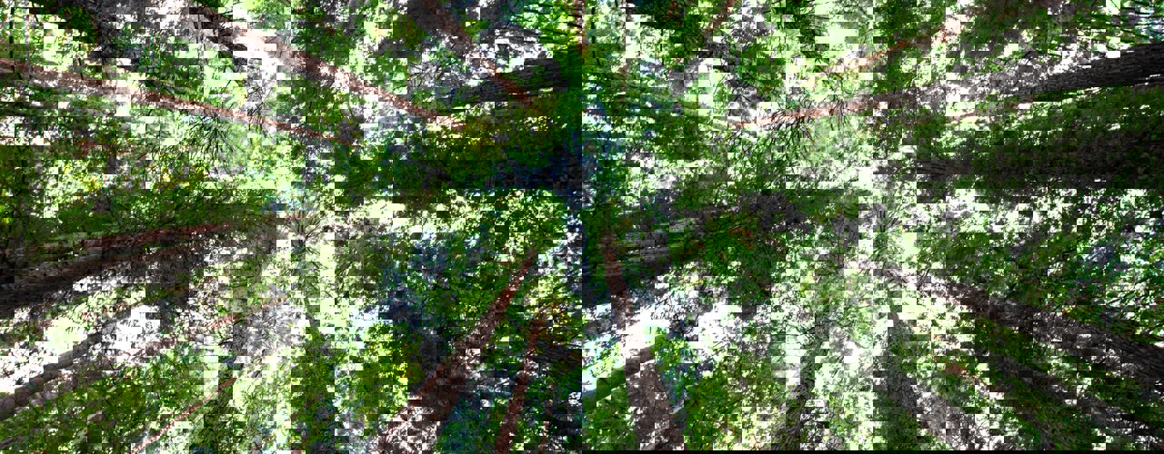 Arnaud Mesureur 7Eqq1s3wiai Unsplash