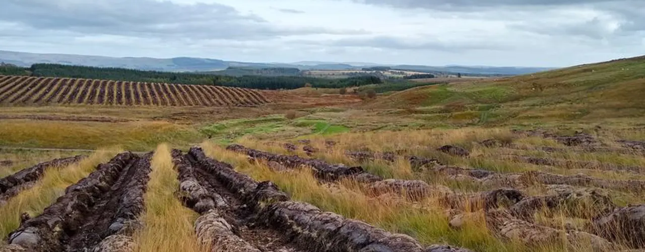 1563280141 Minnygap Shallow Ploughing (2) 808X455