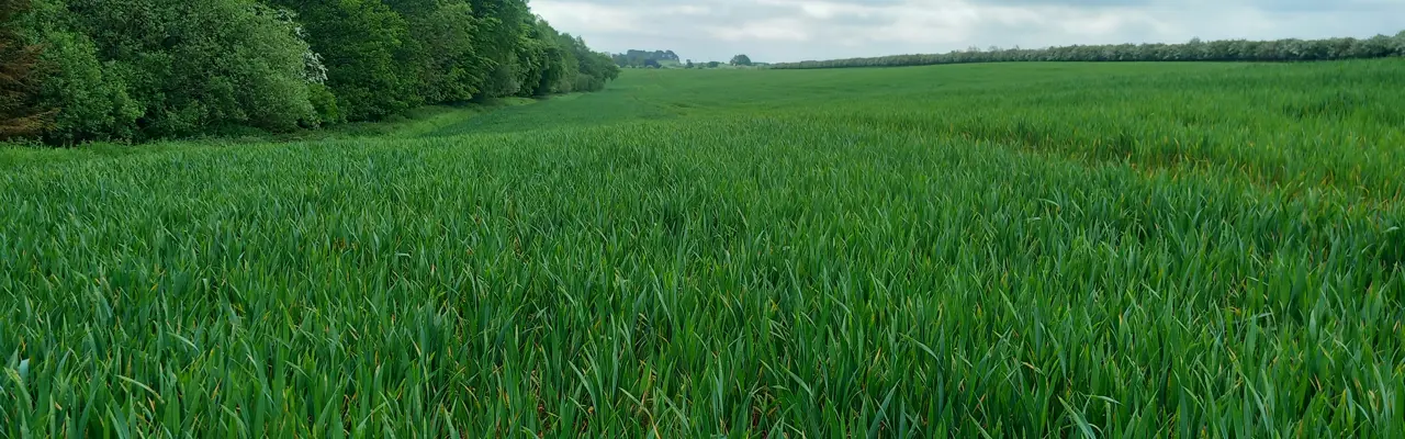 Land At Fenwick Granary Image 3