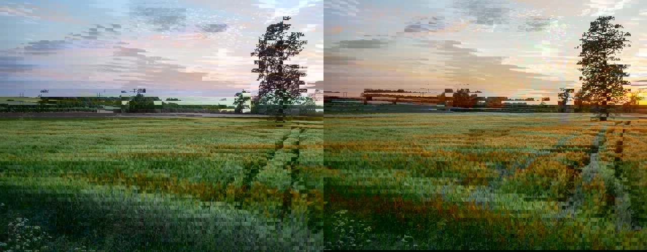 Simon Godfrey Dho8na6l3p0 Unsplash