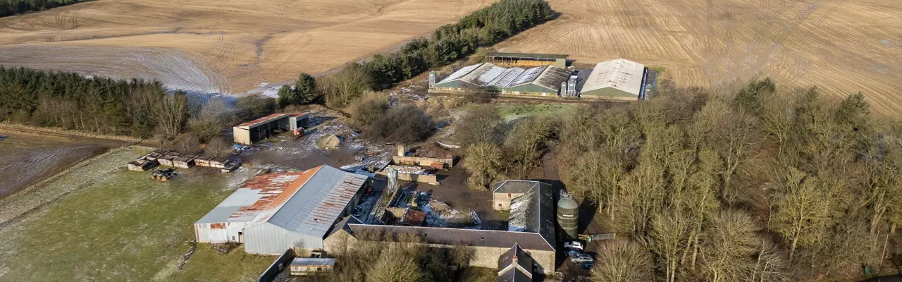 Chesterhall Farm 1