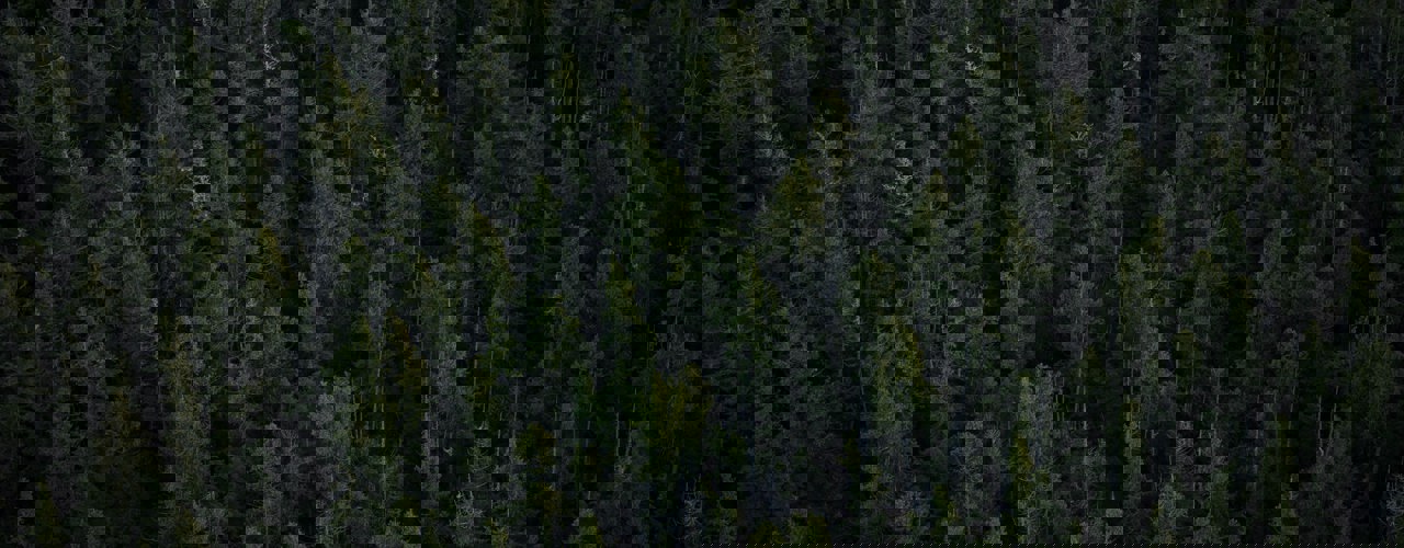 Shayd Johnson 3Syi9yftxdu Unsplash