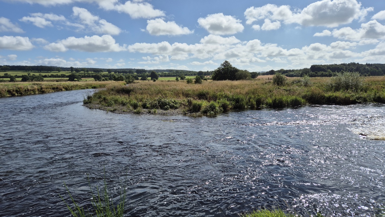20240814 113627 Lochbrow Rewilding