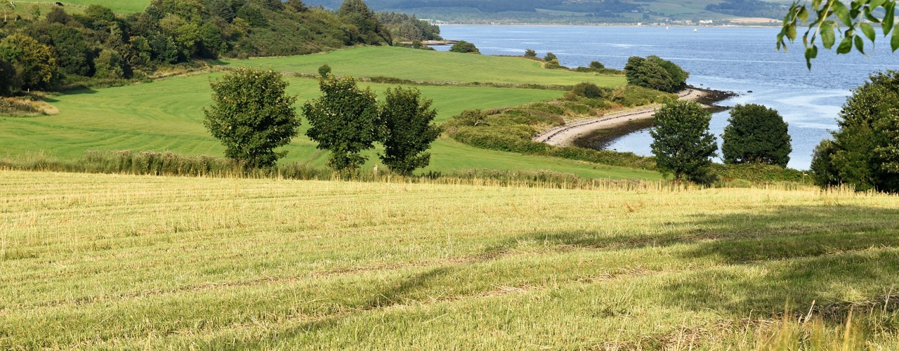 Rural Scotland